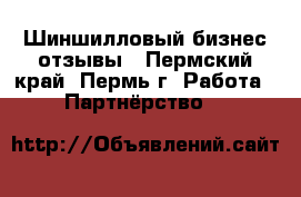 Шиншилловый бизнес отзывы - Пермский край, Пермь г. Работа » Партнёрство   
